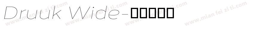 Druuk Wide字体转换